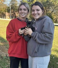 Lionmark Frenchies reviews, AKC French Bulldog breeder in Kentucky, French Bulldog breeder testimonials, Louisville Frenchie breeder feedback, Frenchie puppy reviews Kentucky,