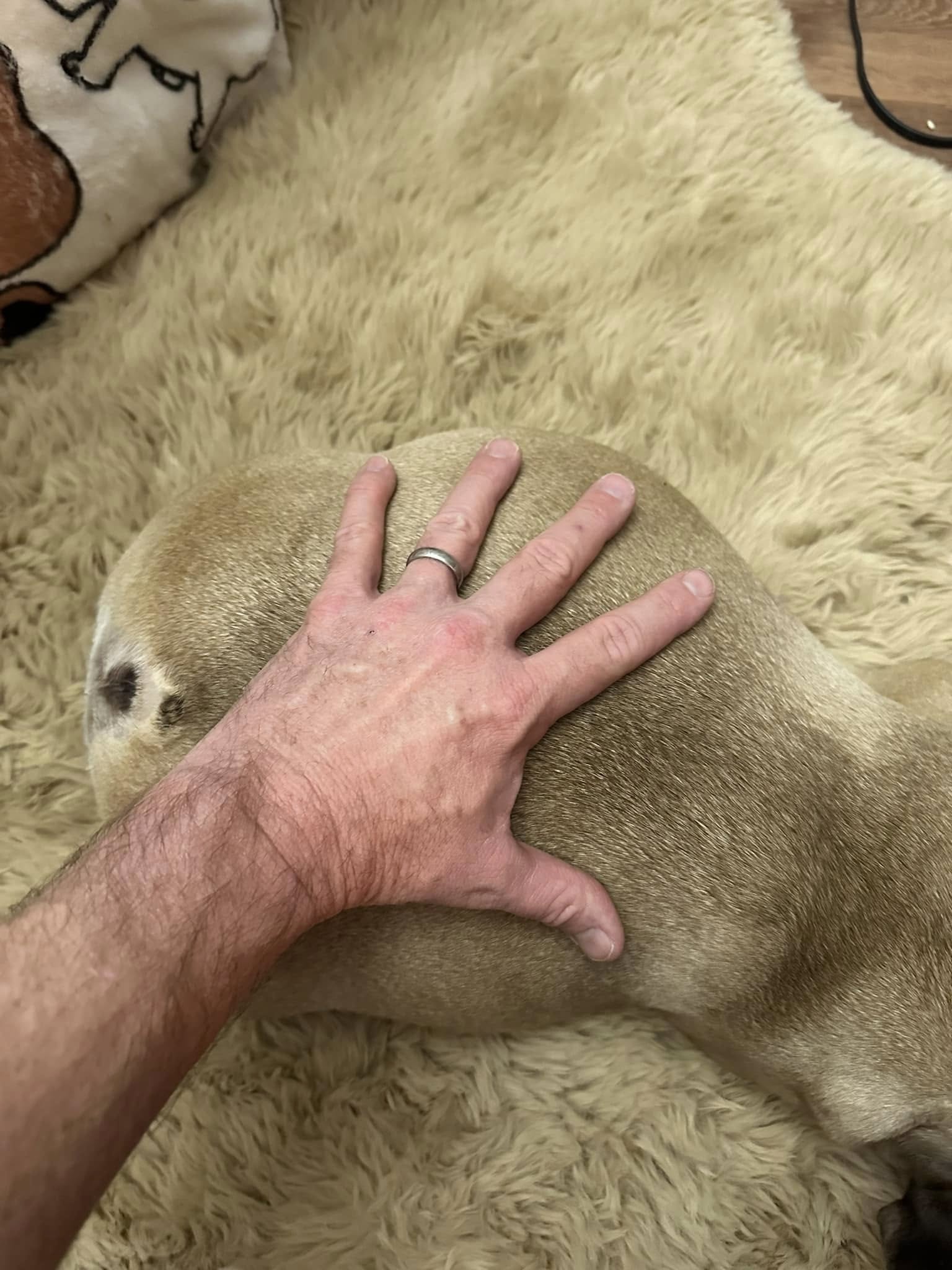 474276760_10162915027700921_6099259807120917667_n