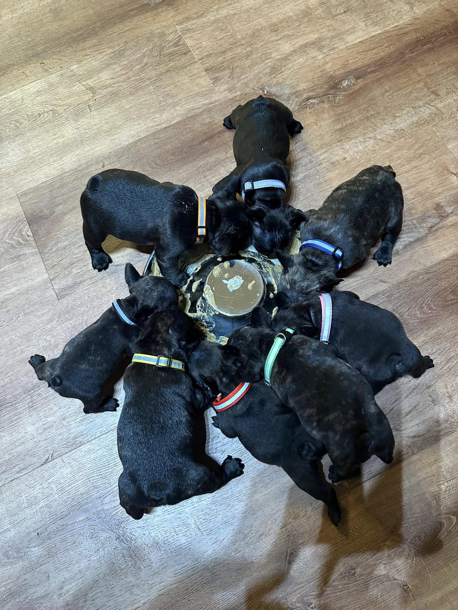 481996500_10163011737175921_3893787852493547772_n
