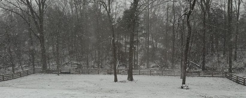 472351838_10162890136545921_2103123282676934028_n