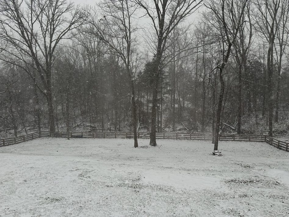 Snow has fallen