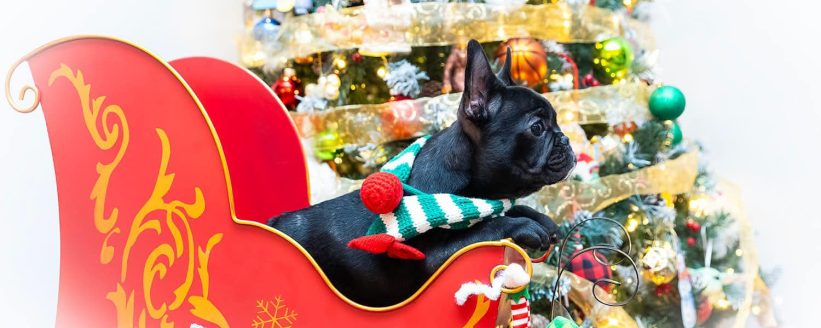 468987133_10162755638280921_2652902682825559855_n