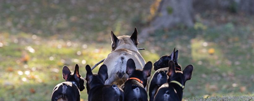 473784761_122147089268356613_662075023494348968_n