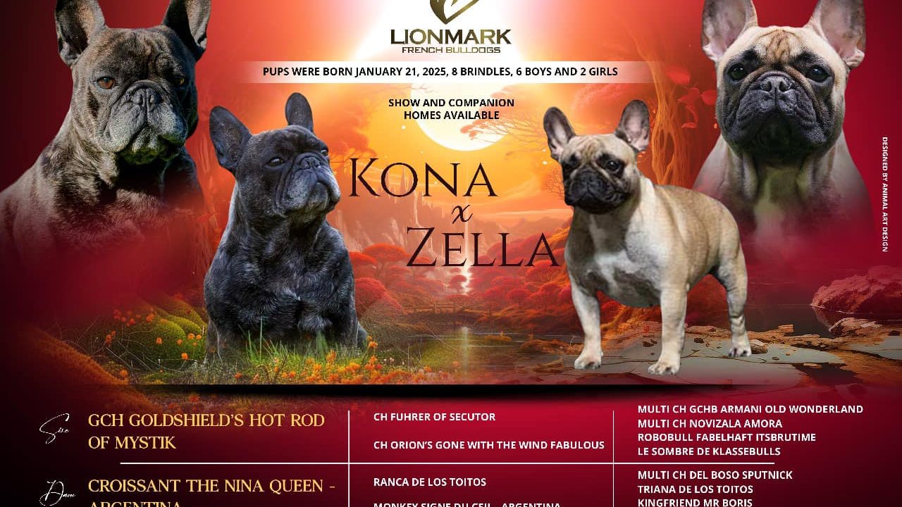 475779886_10162938375720921_1433461869063127151_n