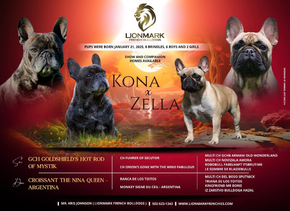 Litter Update – Kona × Zella Welcomes 9 Beautiful Puppies!