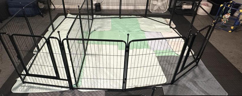 476833833_10162952173300921_4451120777527587043_n