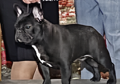 484838115_10163088530340921_8874048032577440441_n-Picsart-AiImageEnhancer