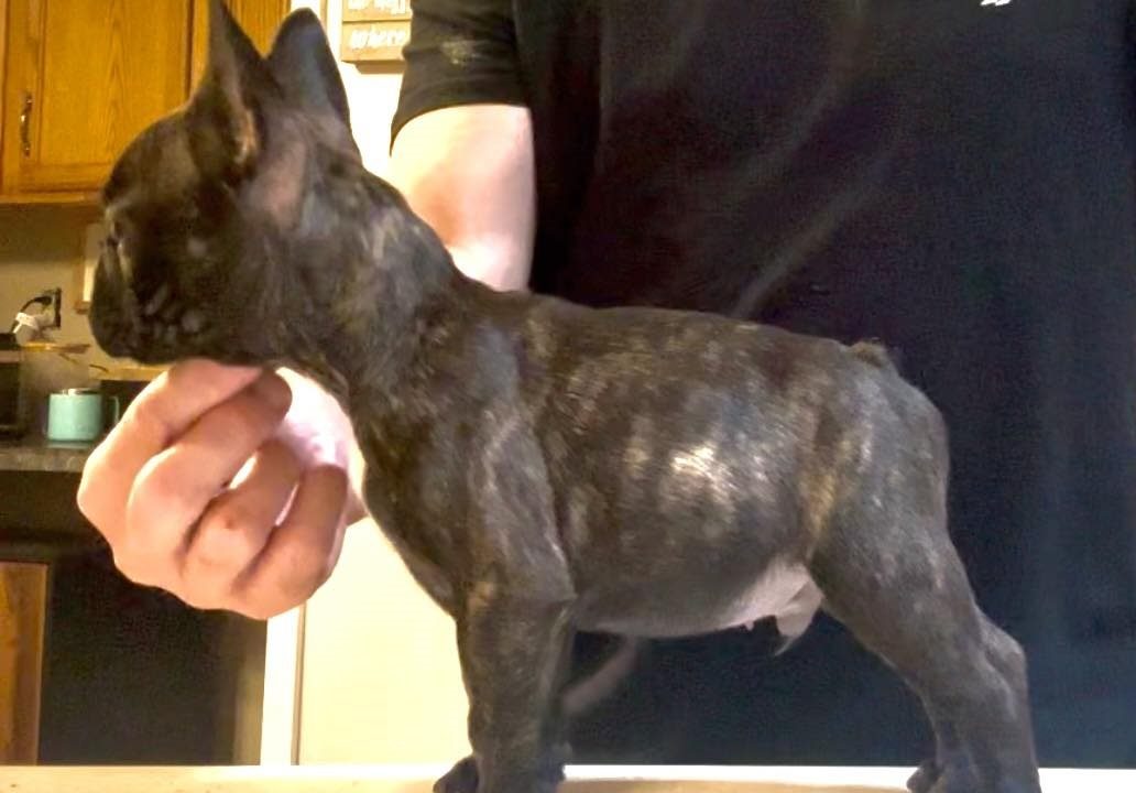 487490883_10163136824415921_1078361176541607974_n