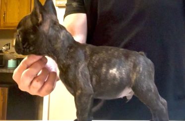 487490883_10163136824415921_1078361176541607974_n