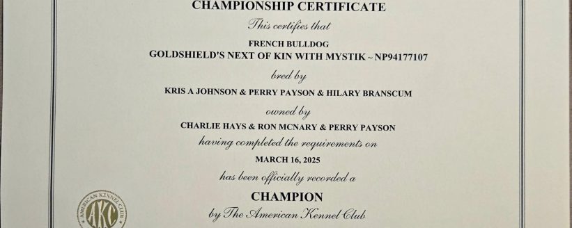 490367304_10163187916925921_6176788148350126920_n