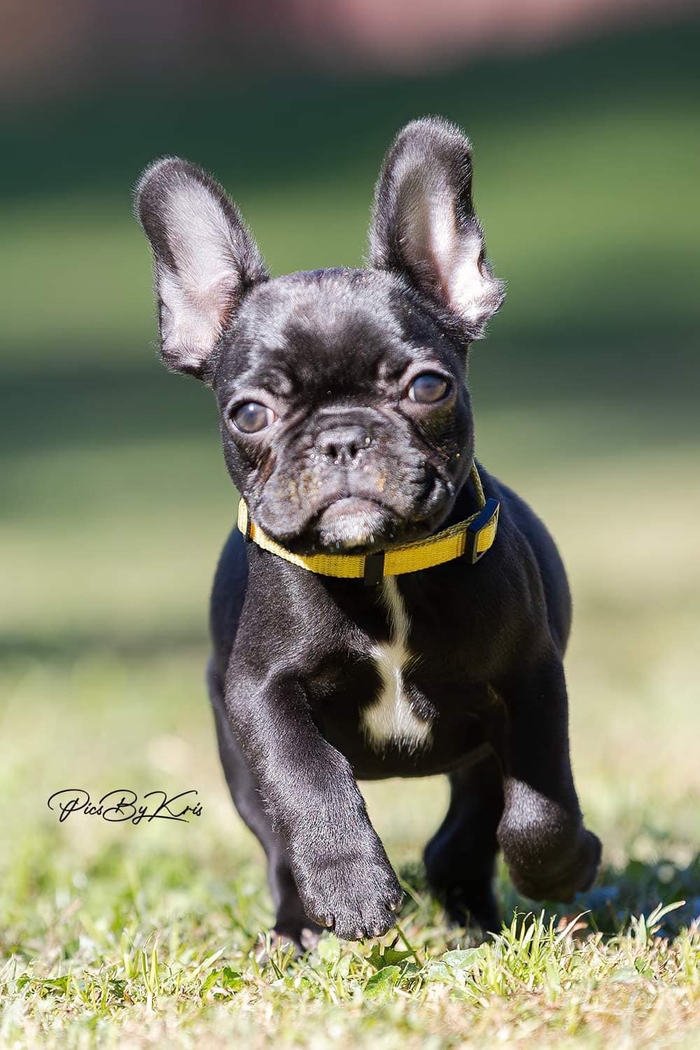 516189879_10163651564450921_1808106707493977827_n