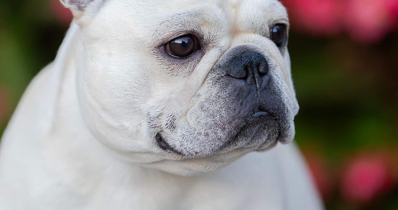 516423250_10163644183640921_4853635610934379370_n