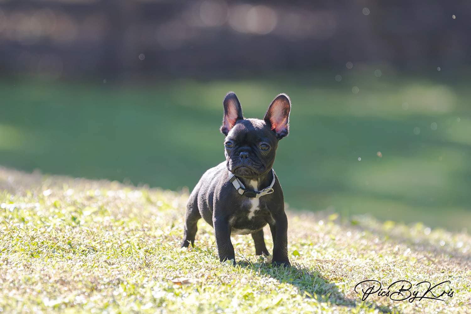 517333771_10163651564385921_1097441239186467458_n