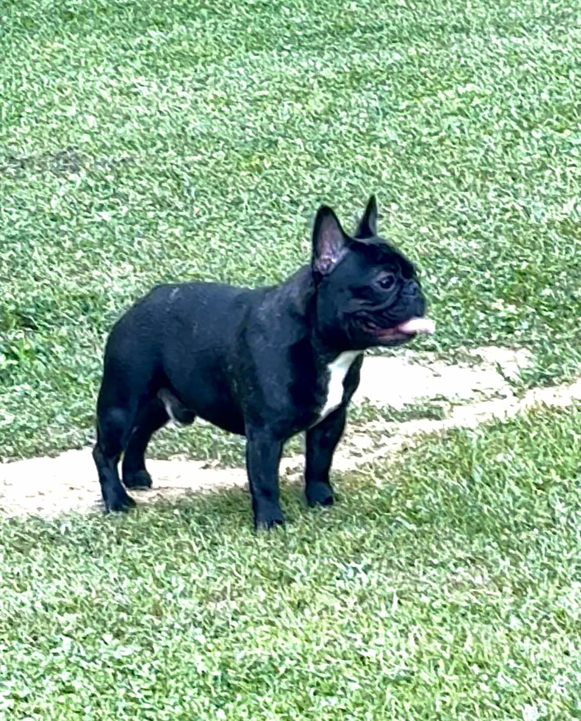 515052818_1037367931843725_4385296480395077806_n (1)