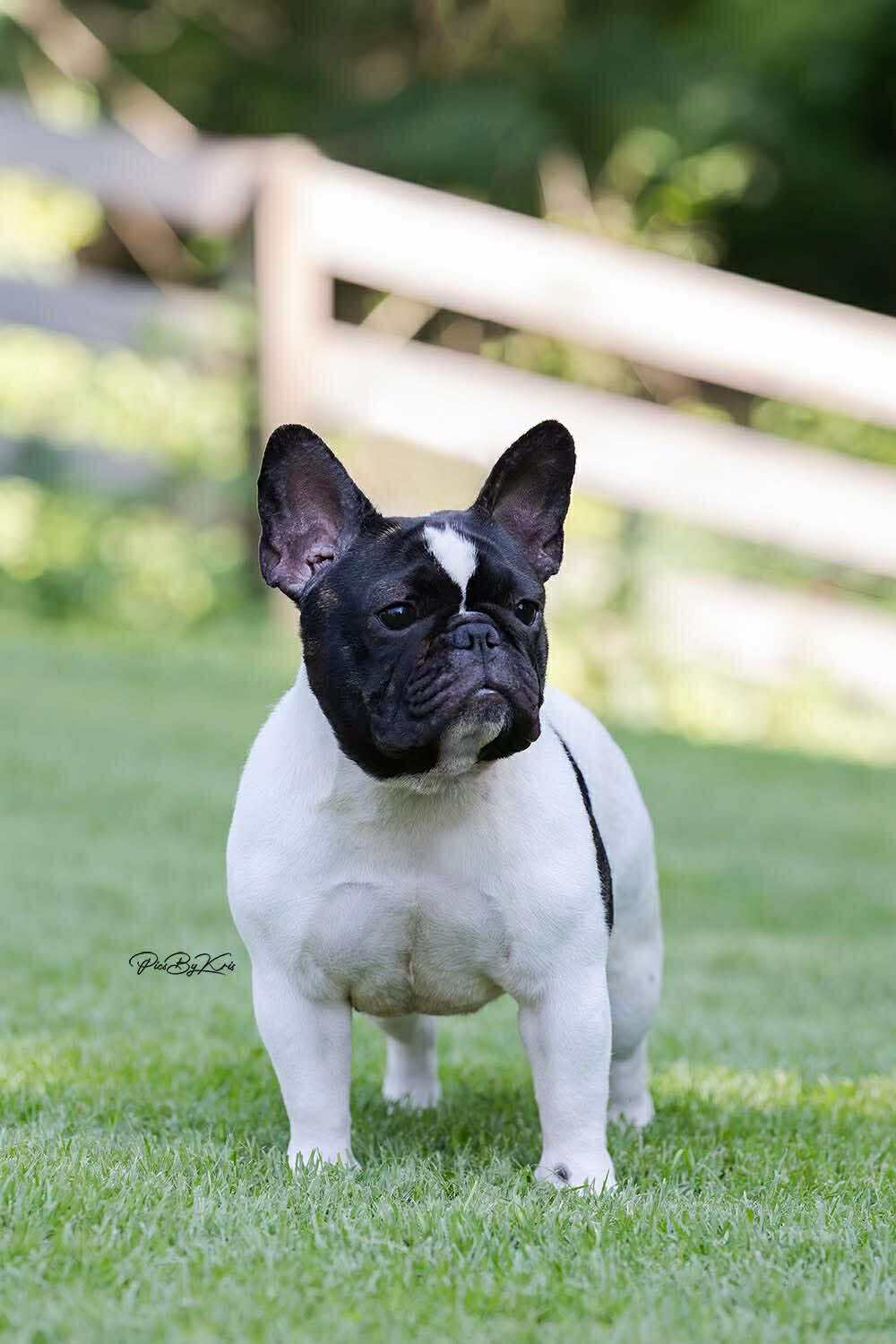 526620445_3662210990740516_8478964601287972569_n (1)