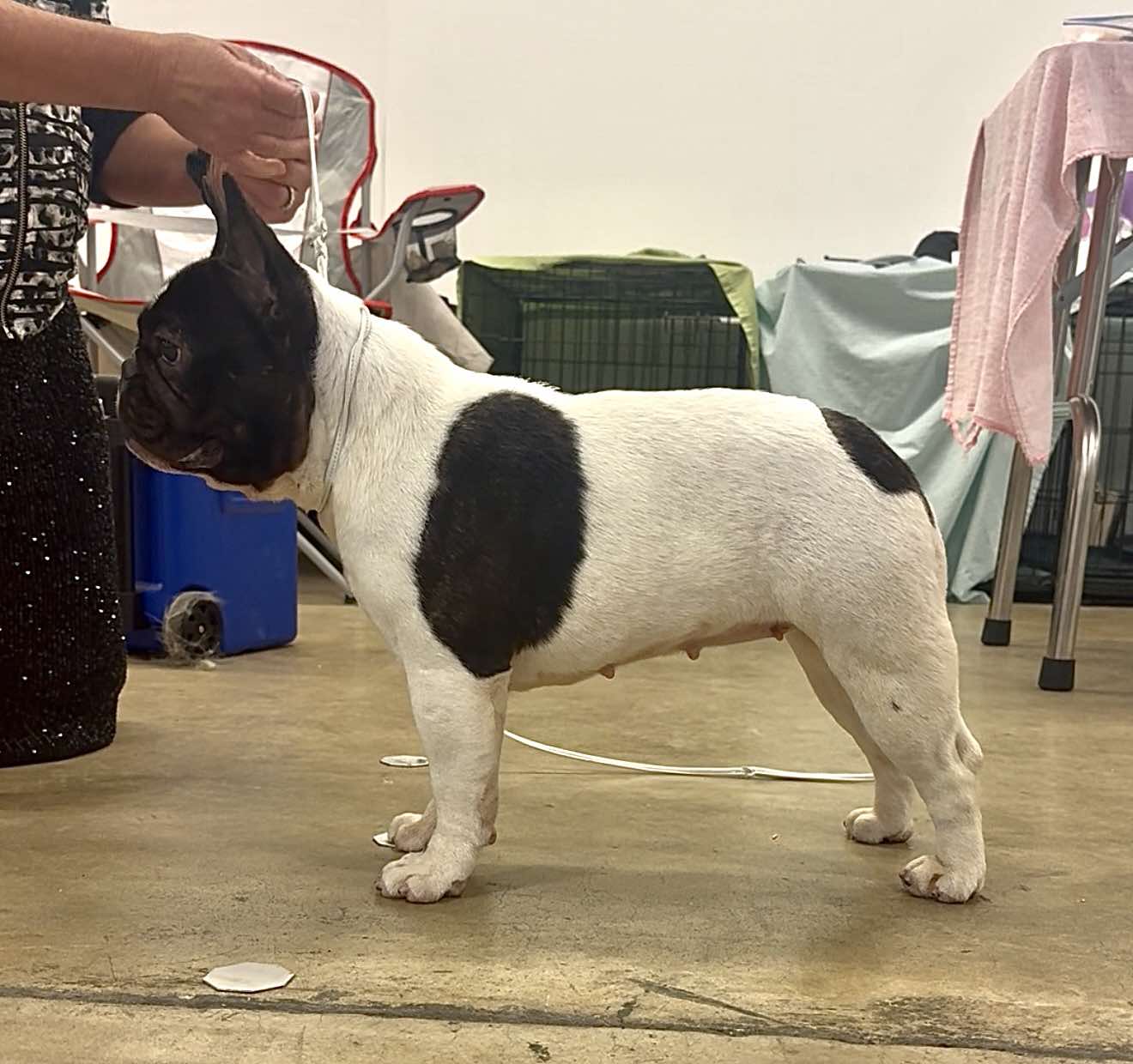 527314941_772839235437691_8190401866268319319_n (1)